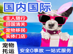 太平航空快运国际宠物托运 【国
